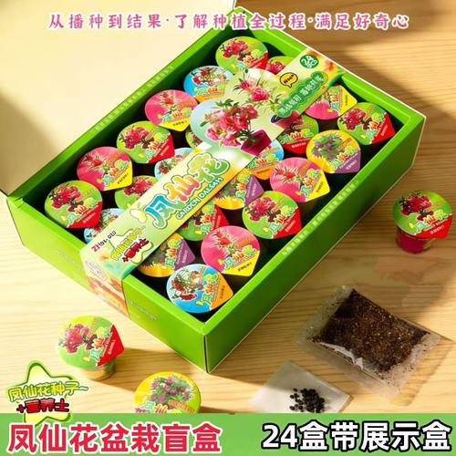 春节花卉植物