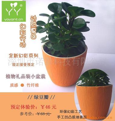 【竹纤维、幻彩工艺 礼品装现在接受预订 招募合作商】价格,厂家,图片,其他园艺花卉,深圳市诺泰科技-